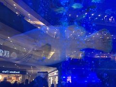 -成都浩海立方海洋公园