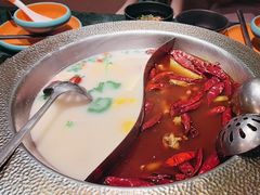 -麻田会 ·牛蛙火锅(珠江新城维家思广场店)