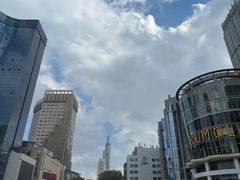 -苏宁易购(Suning Pro南京山西路店)