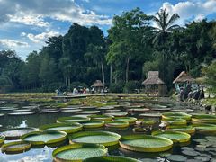 -中国科学院西双版纳热带植物园