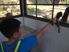 -吉隆坡雀鸟公园