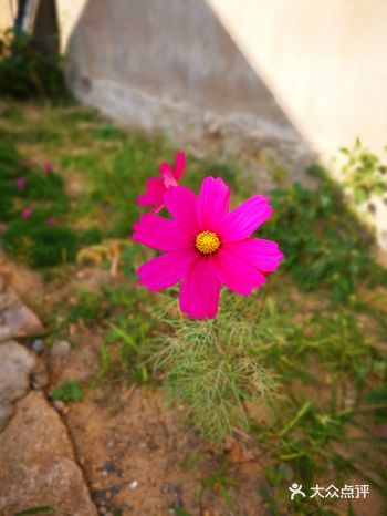 2020，疫情肆虐全球，感觉日子看不到头