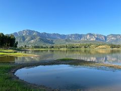 -豫丰汇河南名菜楼(武记餐饮)