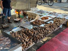 -登州市场(登州路店)