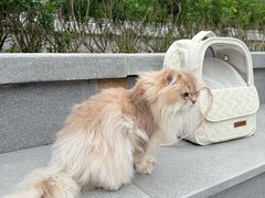 -上海无线电博物馆