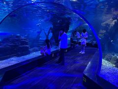 -江和美海洋公园