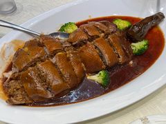 -丁老爷子苏香圆