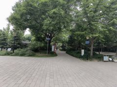 -玲珑塔公园