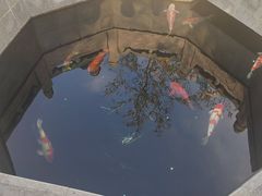 -西安市广仁寺