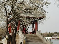 -老家肉饼(永泰庄店)