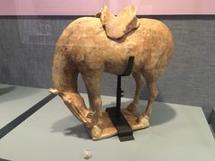 -南越王博物院(王宫展区)