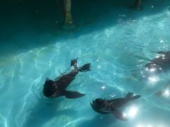 -南京金牛湖风景区