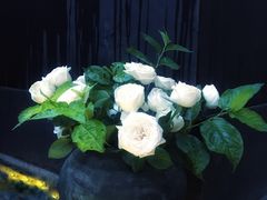 -云里小坐·小院里·团建·宴请·下午茶(三圣乡店)