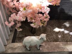 -毛辣果·贵州红酸汤牛肉火锅(西单店)