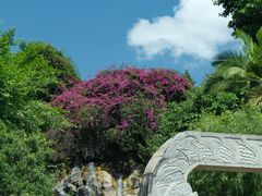-南诏风情岛