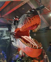 -恐龙探索乐园(磁器口店)