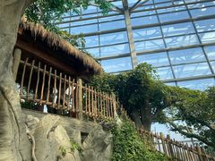 -祥源·阜阳生态乐园