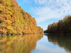 -上海海湾国家森林公园