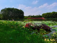 -东郊湿地公园