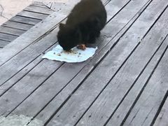 -静之湖湖畔餐厅