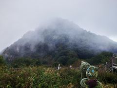 -野三坡百草畔景区