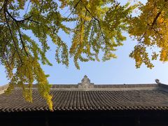 -成都市文殊院