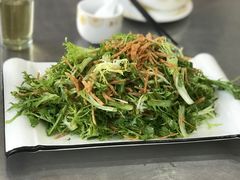 凉拌苦菊-伊林居饭庄央视清真八大碗