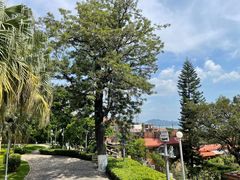 -八婆婆烧仙草(曾厝垵店)