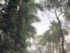 -广州长隆野生动物世界