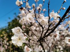-钟山体育运动公园