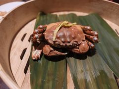 -成隆行·蟹王府(九江路店)