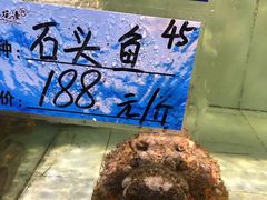 -天鹰观渔(梦园店)