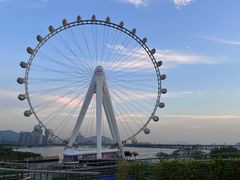 -7-ELEVEn(深圳宝安机场近14登机口)