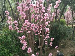 -山东大学(趵突泉校区)
