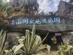 -苍山感通索道