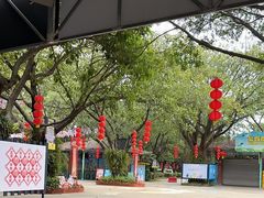 -广州长隆飞鸟乐园
