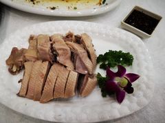 白切马冈鹅-鹅城