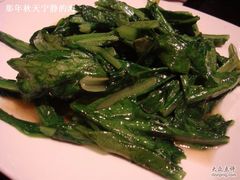 油麦菜-鹿港小镇(霄云店)