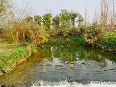 -白鹭湾湿地公园