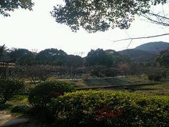 -白马涧龙池景区