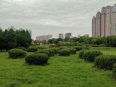 -咸阳湖景区