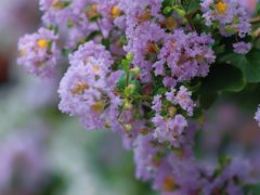 -杭州城北体育公园