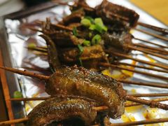 鳝鱼-晓靖轩烧烤(沙河风情店)