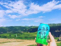 -空中草原