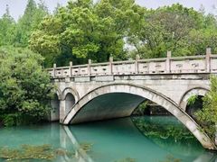 -贡湖湾湿地公园