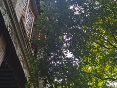 -龙潭水乡