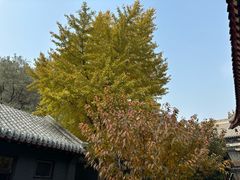 -长安寺
