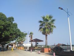 -大湾区中央湿地公园-十九涌