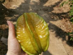 -迪茵湖田家舍生态农场