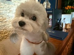 -木兰逸•泰式按摩•头疗•SPA(车公庙店)